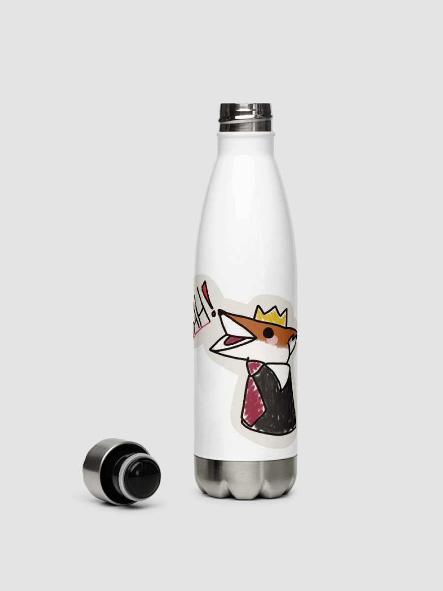 Bah! Stainless Steel Water bottle product image (5)