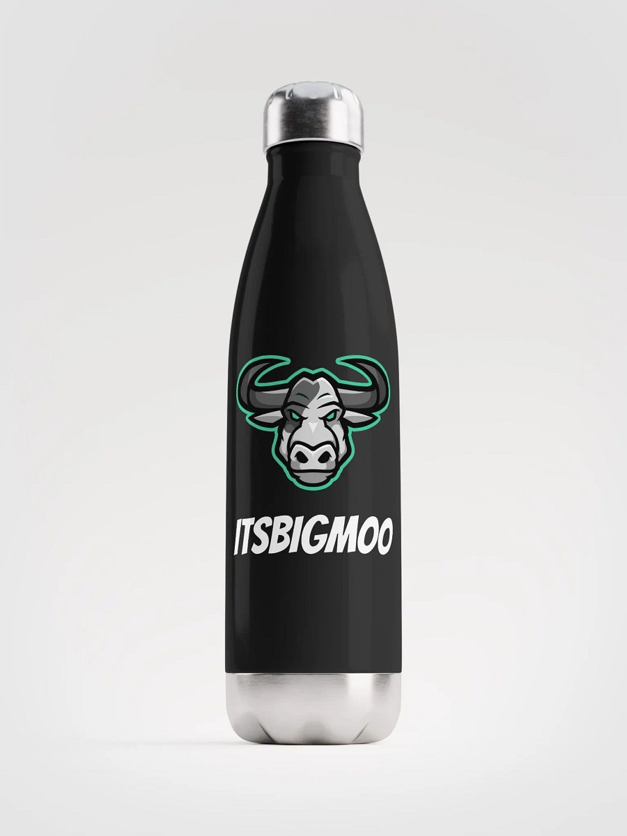 Water Bottle product image (1)