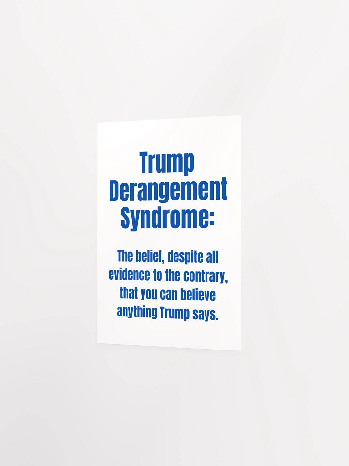 Trump Derangement Syndrome Poster product image (21)
