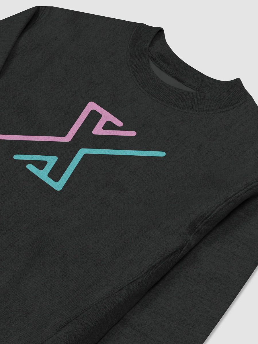 Pink&Teal CHAMPION sweatshirt product image (3)