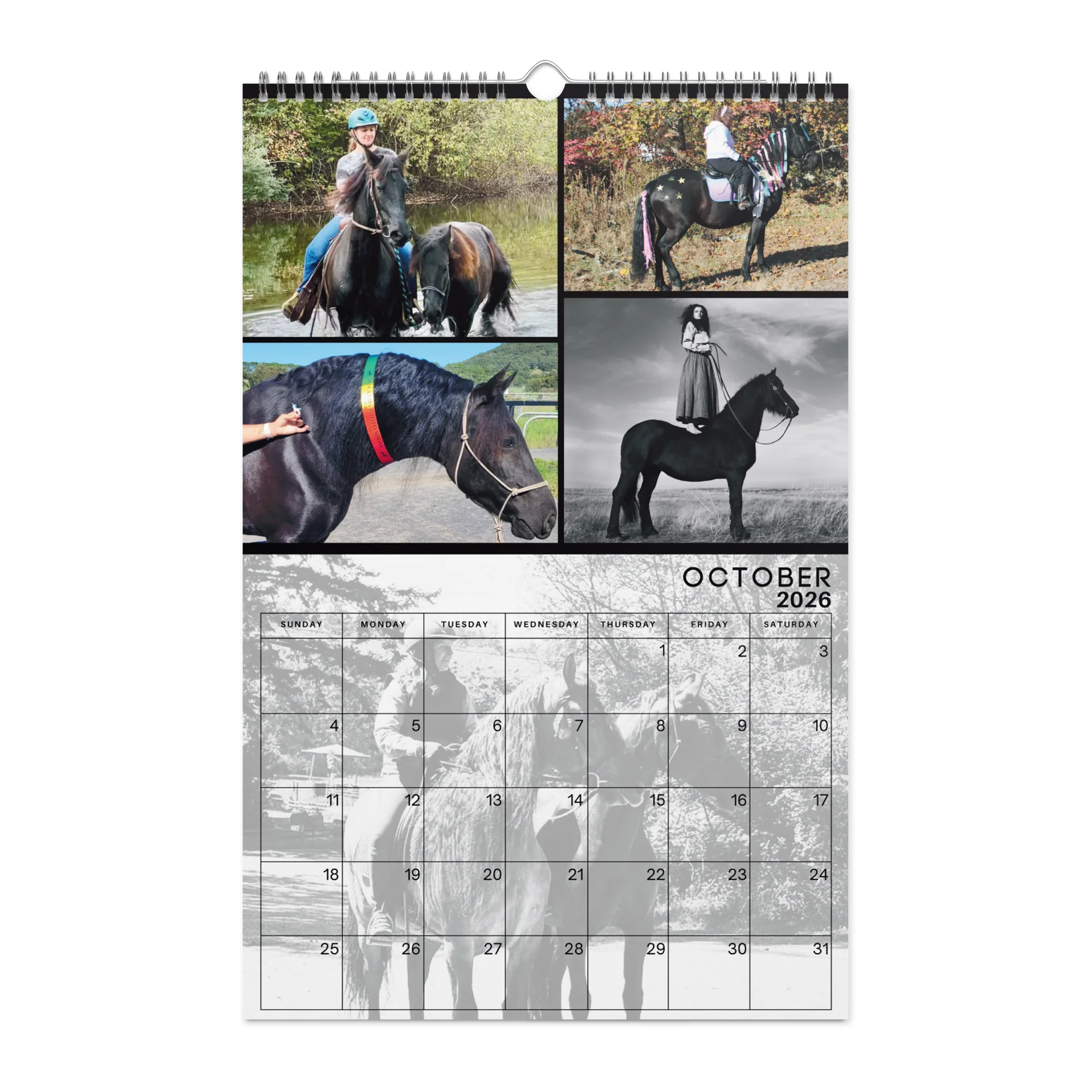 2026 Moriesian Horse Registry Calendar product image (12)