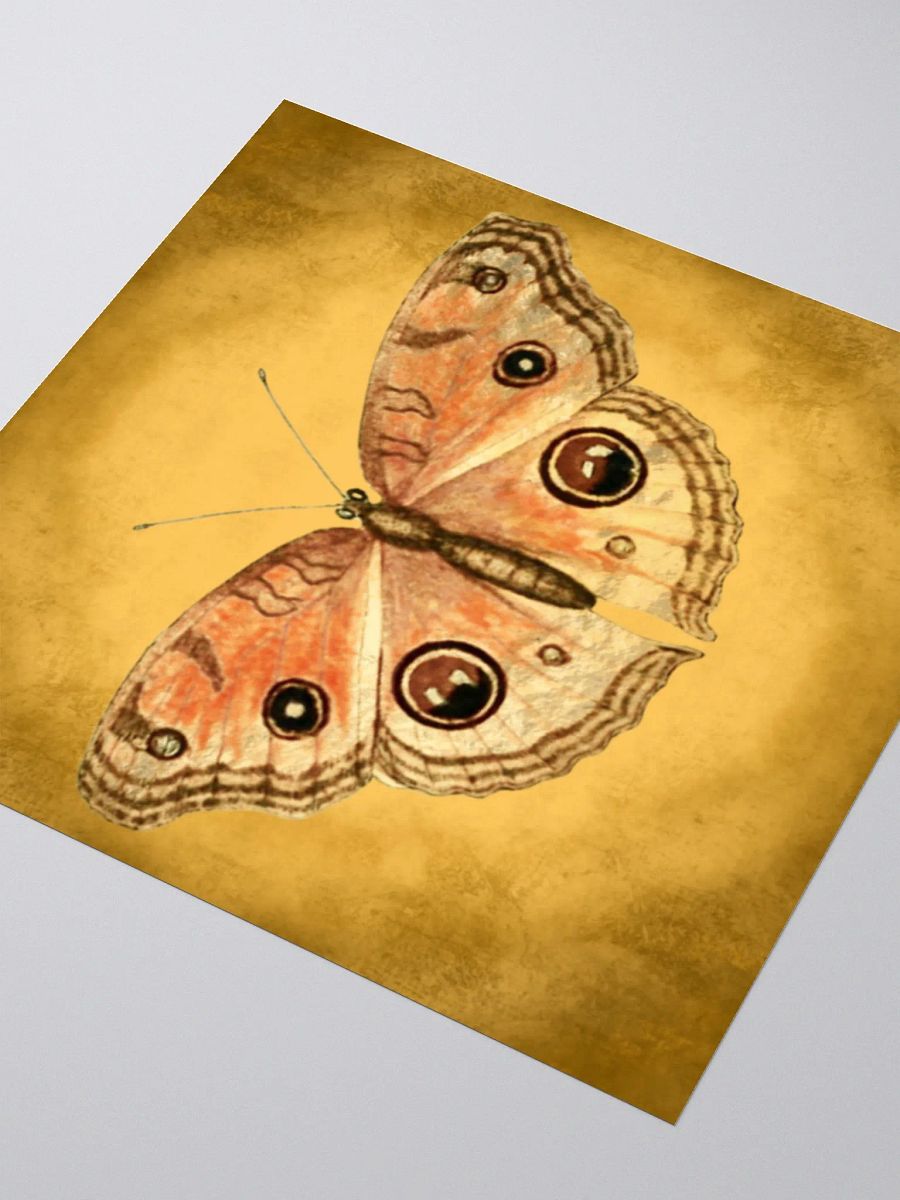 Butterfly Kiss Cut Stickers product image (3)