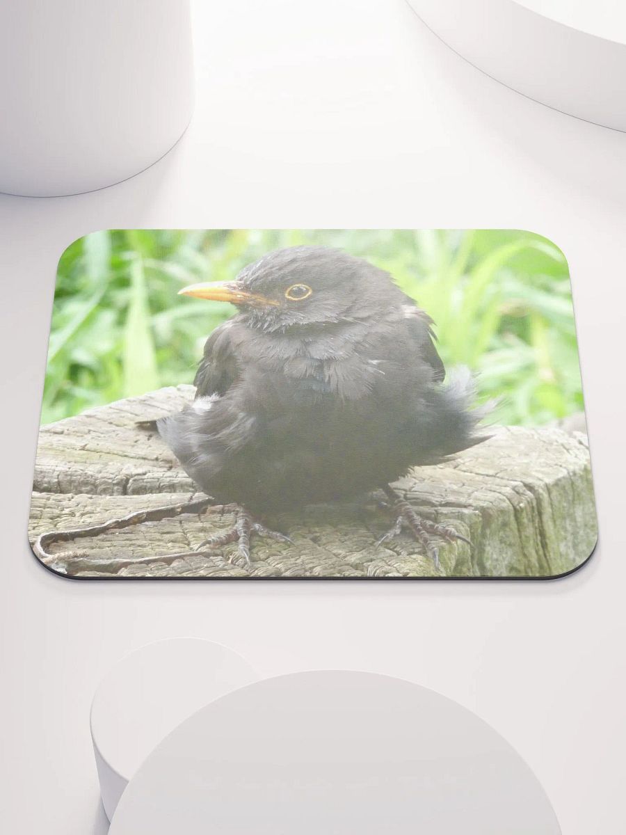 Classic Mouse Pad - The common blackbird #2 product image (1)