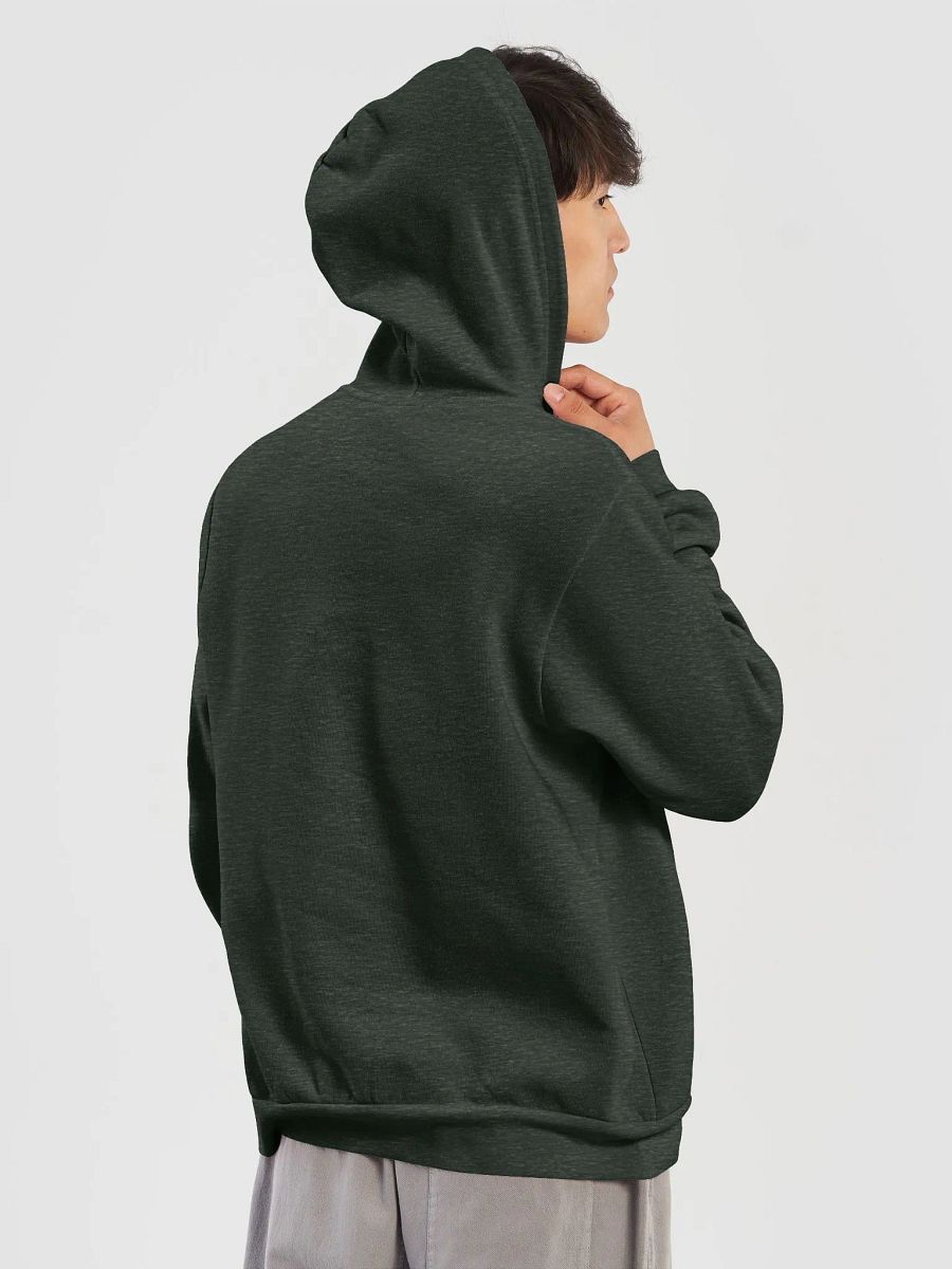 Duanesburg, NY Hoodie product image (18)
