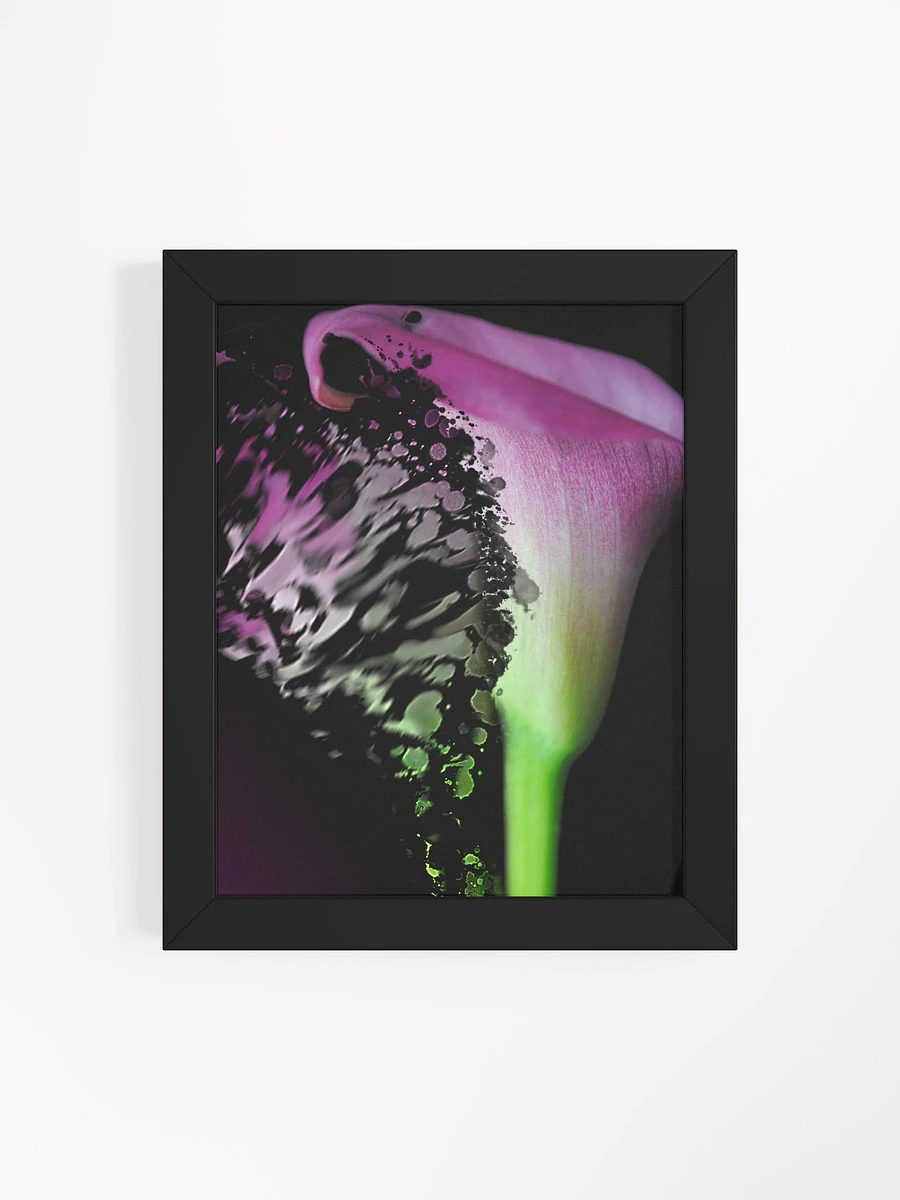 Shattered Pink Calla Lily Framed Poster product image (70)