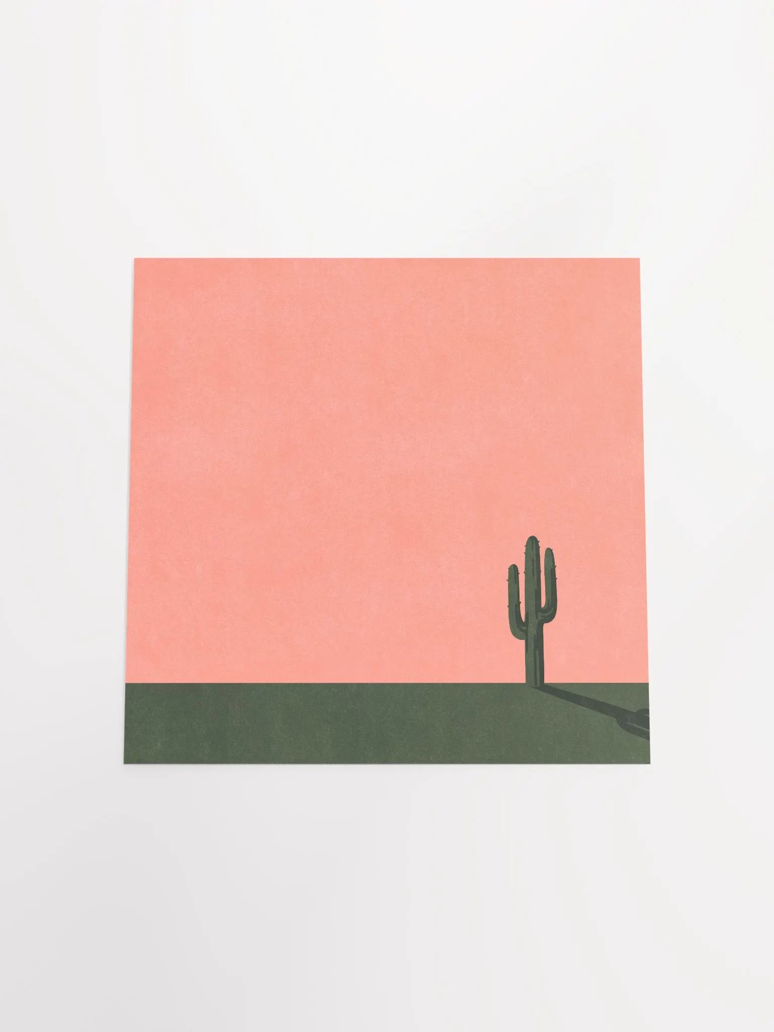 Cactus product image (4)