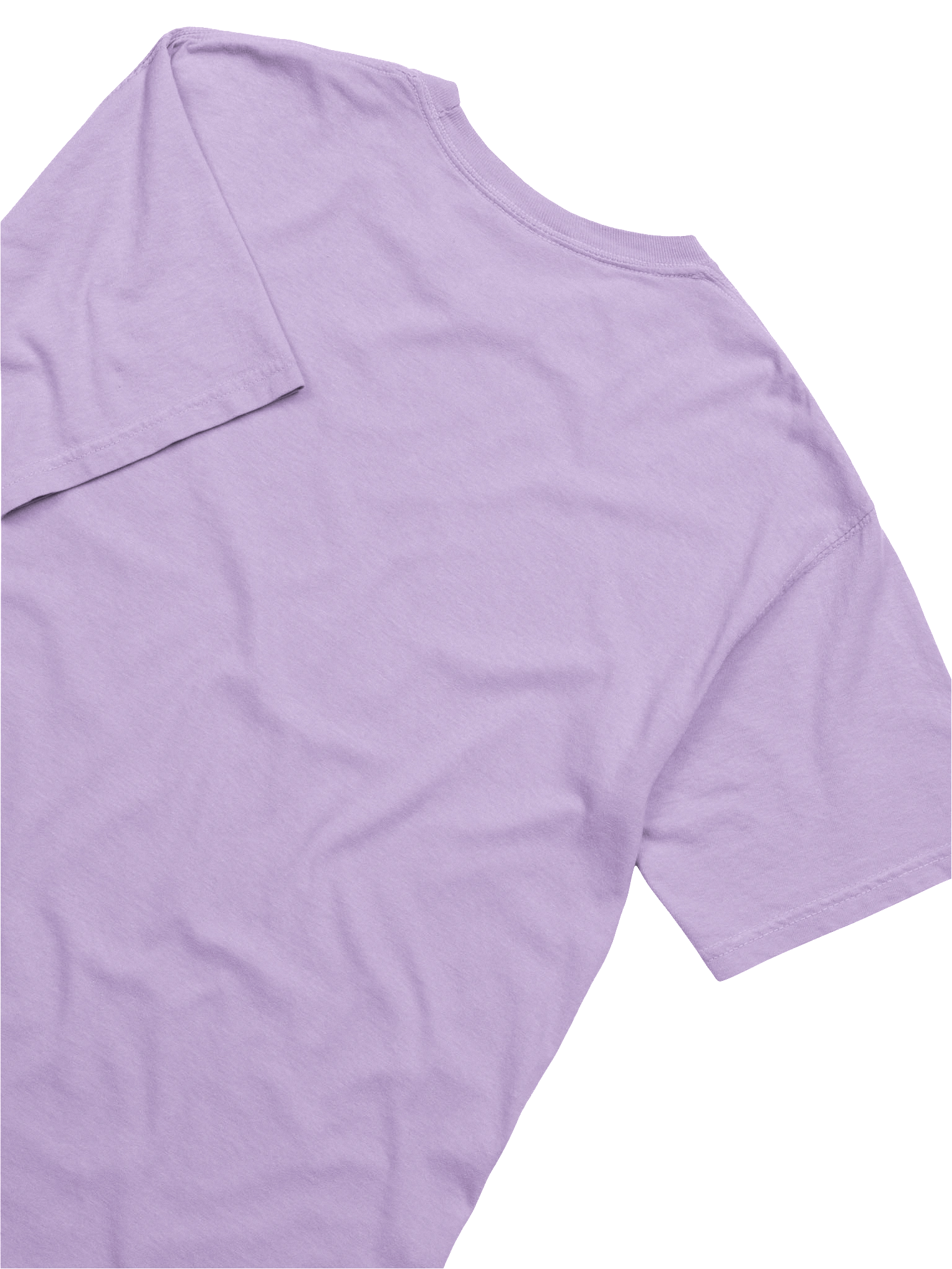 Head Over Heeler T-Shirt(Embroidered) of an Australian Cattle Dog(Blue Heeler, Docked Tail) product image (36)
