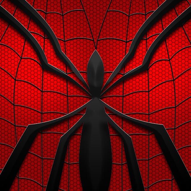 Spider | Mayday product image (1)