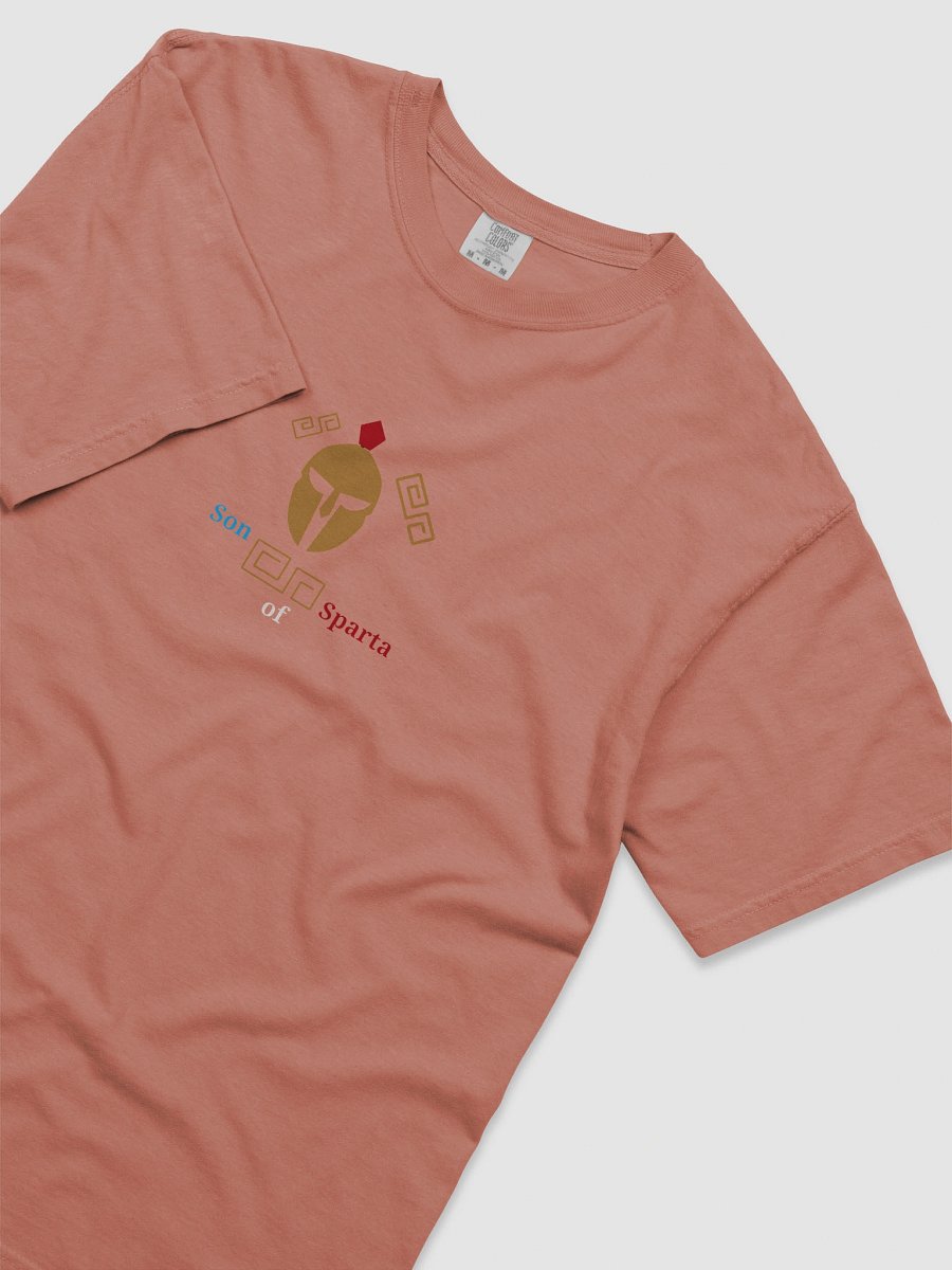 Spartan Legacy Graphic Tee product image (5)
