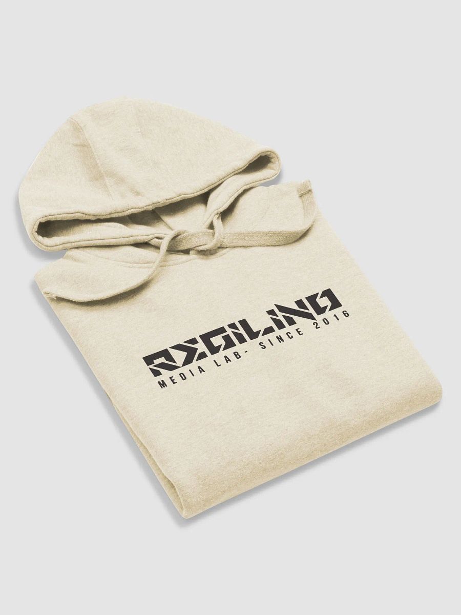Regilino Media Lab Hoodie product image (27)