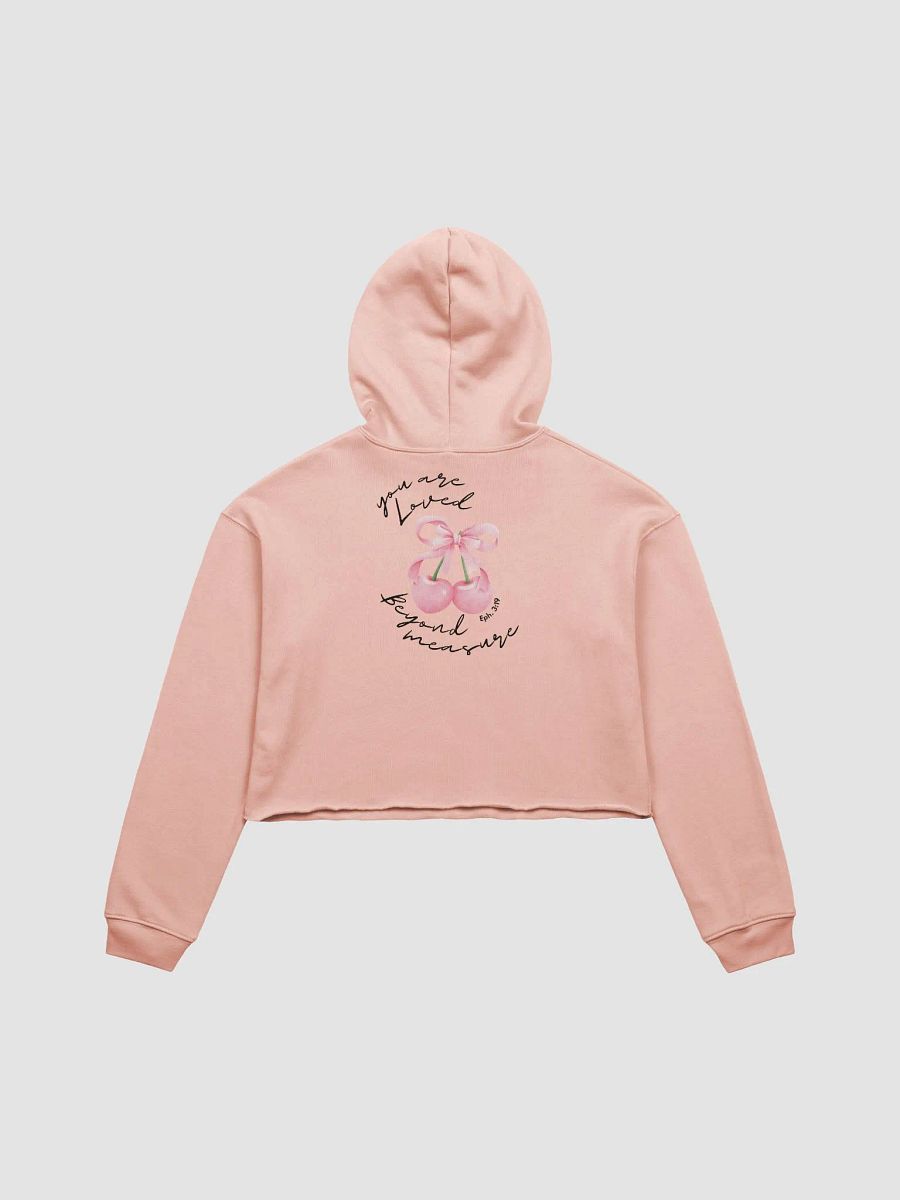 Beyond Measure Bow Hoodie product image (3)