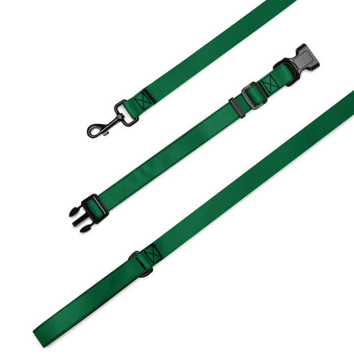 Lucky Dog Green Pet Collar & Leash Set 02 product image (2)