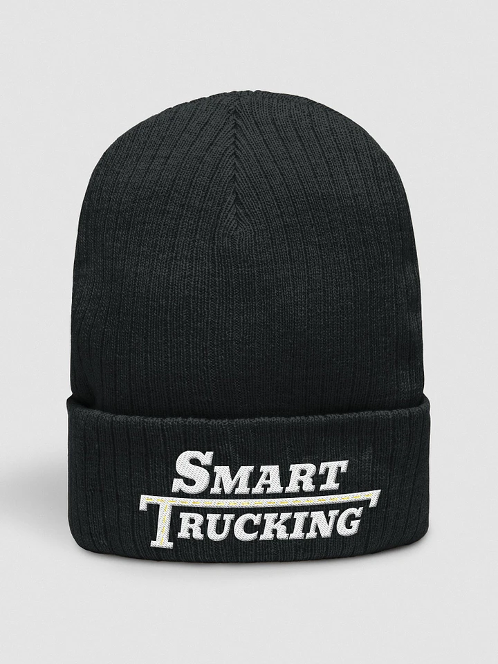 Smart Trucking Wool Hat product image (1)