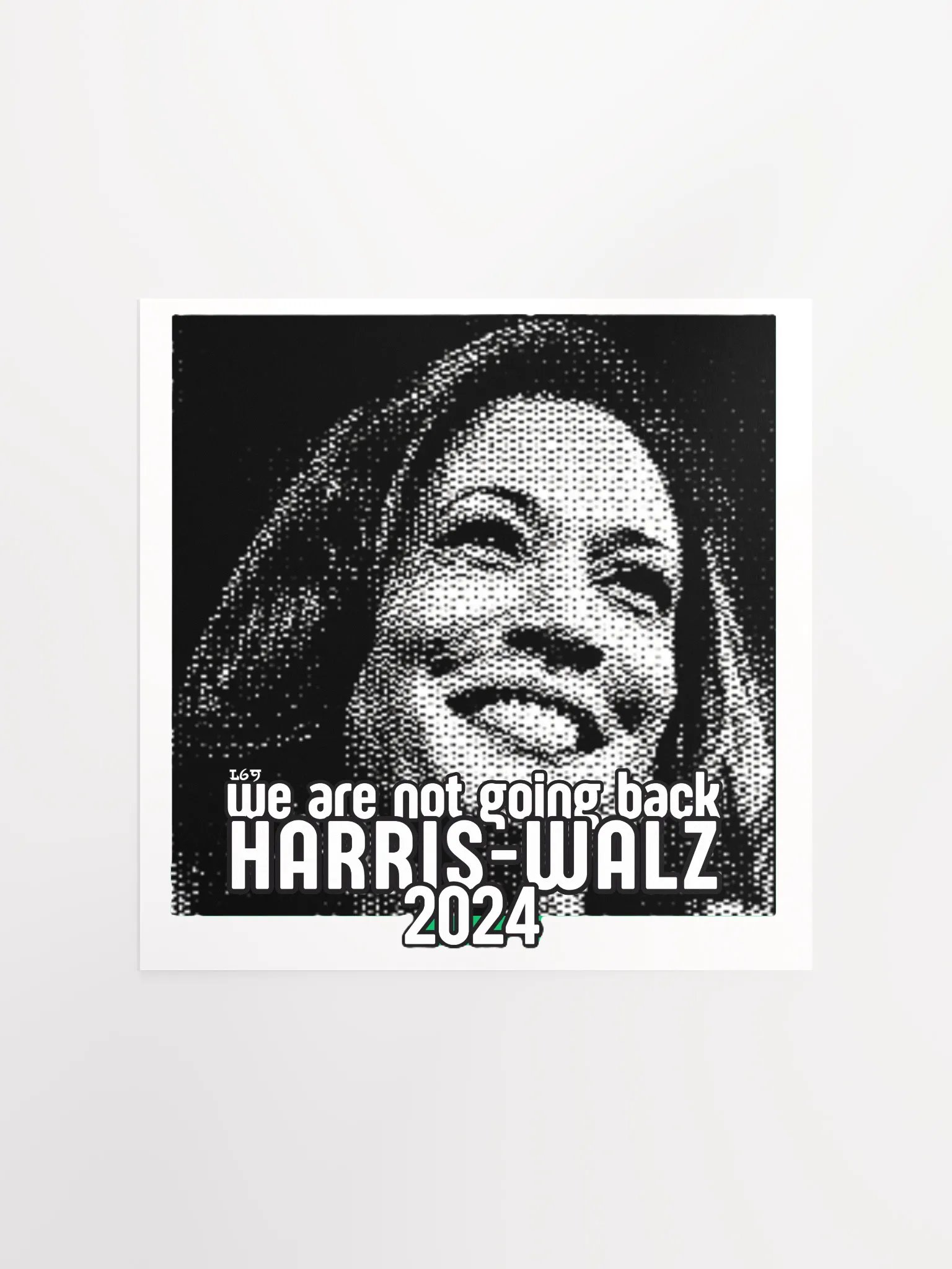 HARRIS-WALZ 2024 WE ARE NOT GOING BACK product image (5)