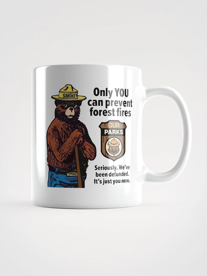 We've been DEFUNDED Smokey Our Parks Bear Coffee Tea Mug 3 SIZES! Ceramic Glossy White Cafe Cup product image (1)
