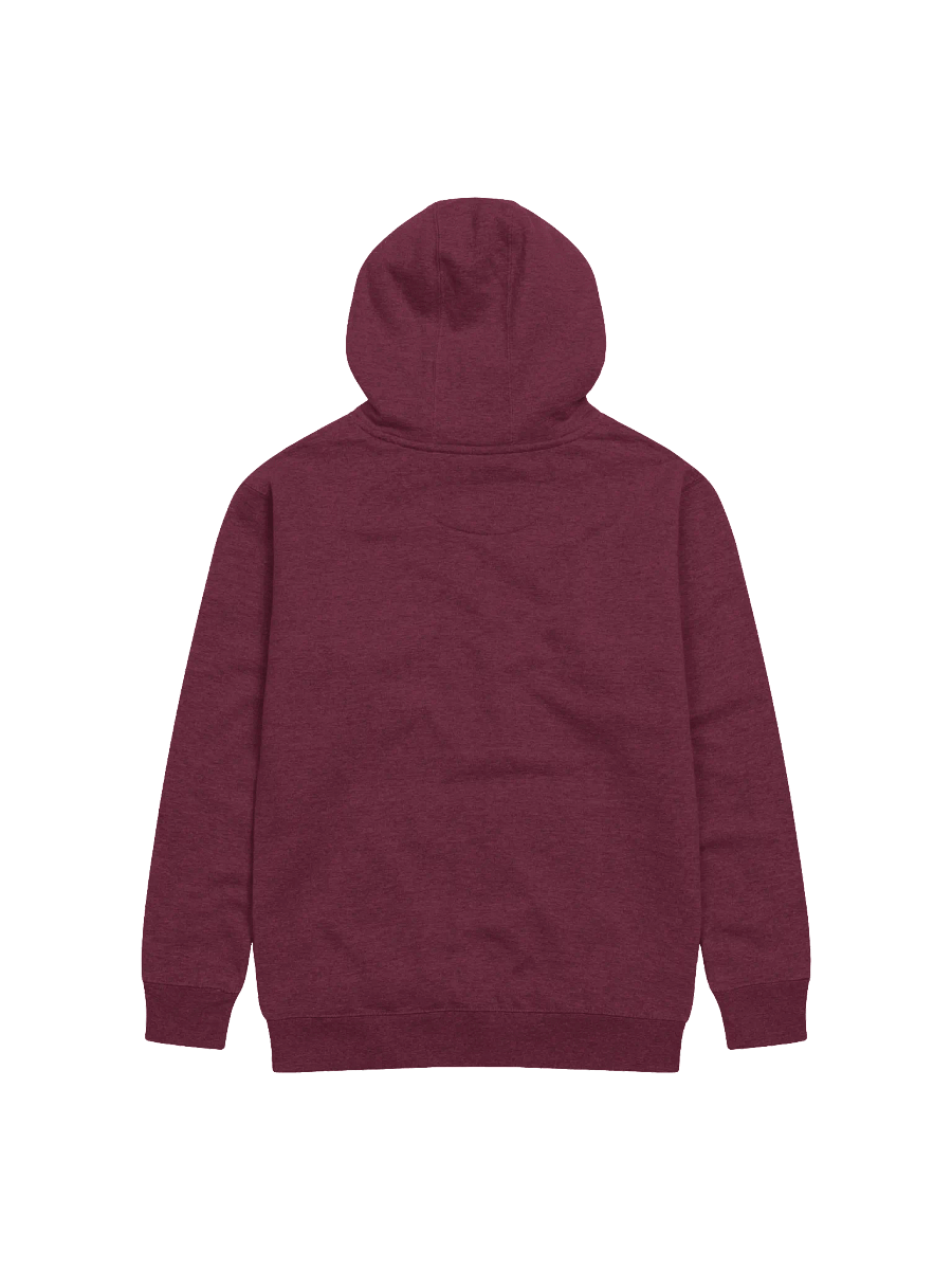 Chamak Challo Premium Hoodie product image (10)