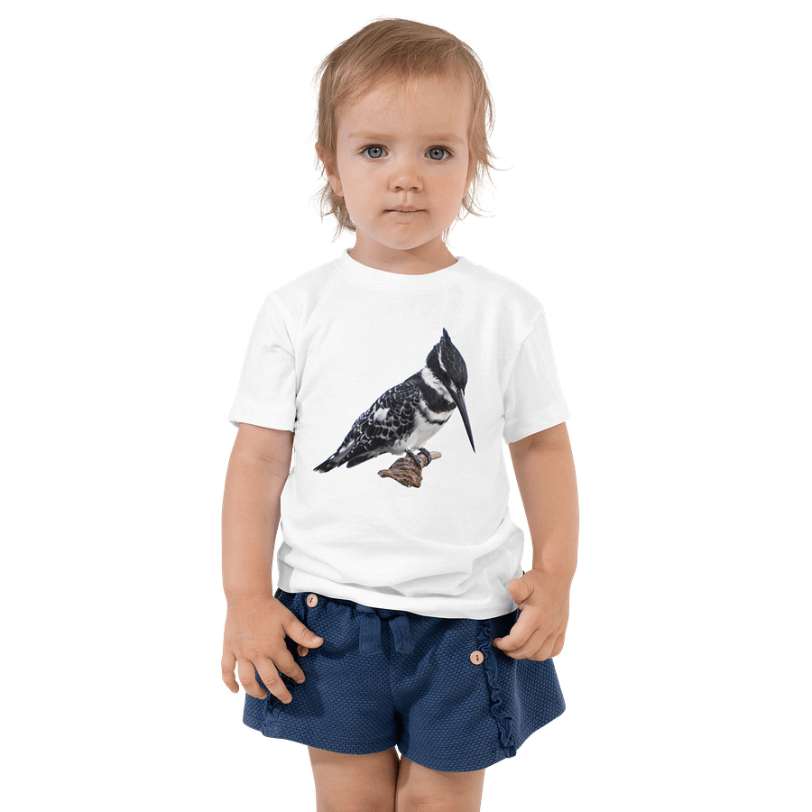 Pied Kingfisher Toddler Cotton T-Shirt -plain product image (4)