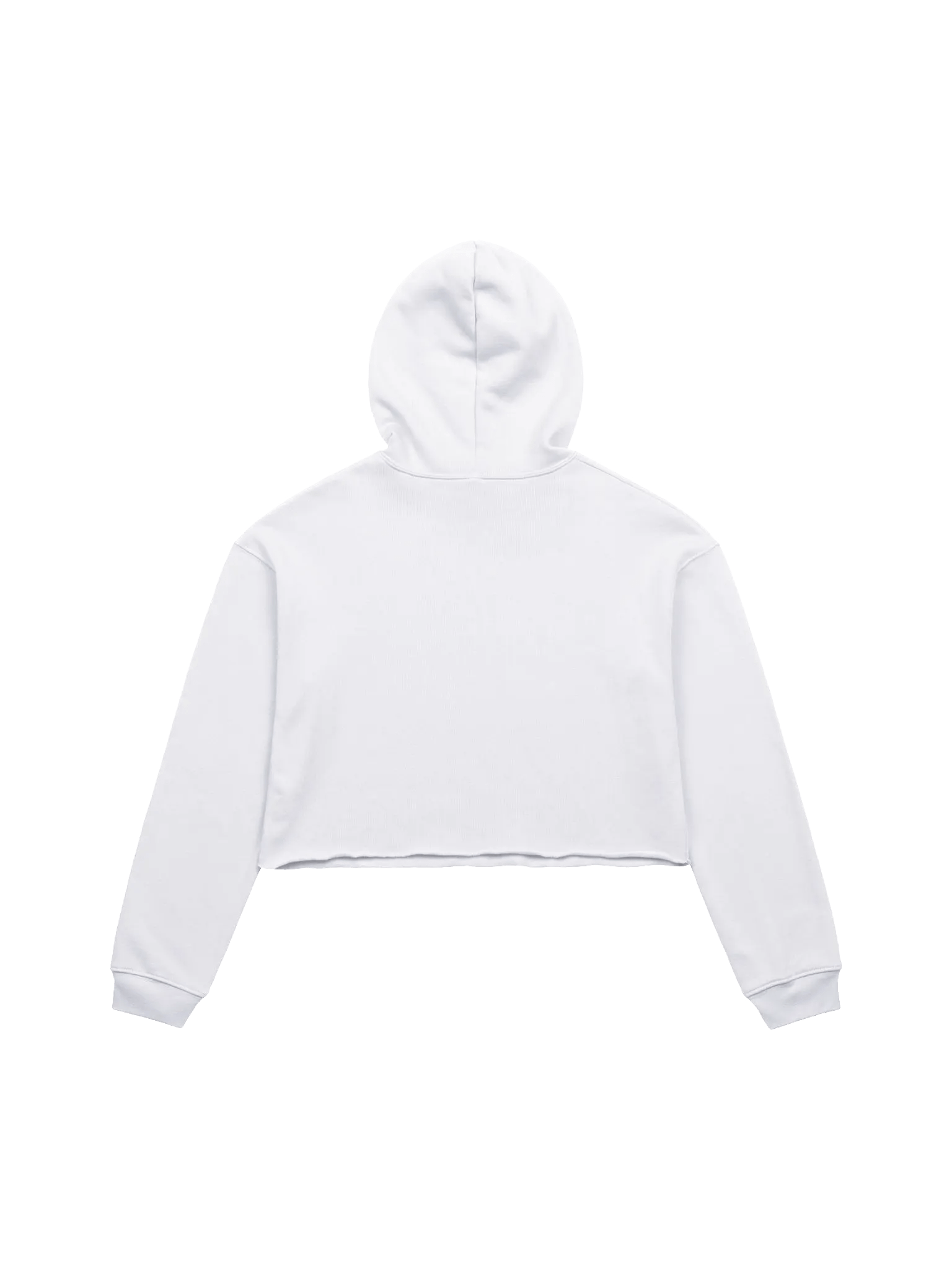 LuckyShotBeech Neon Dreamer Crop Hoodie product image (2)