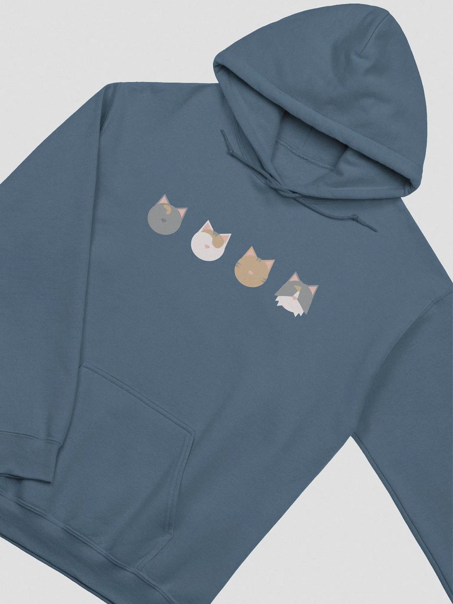 Classic SwiftIke Hoodie product image (3)