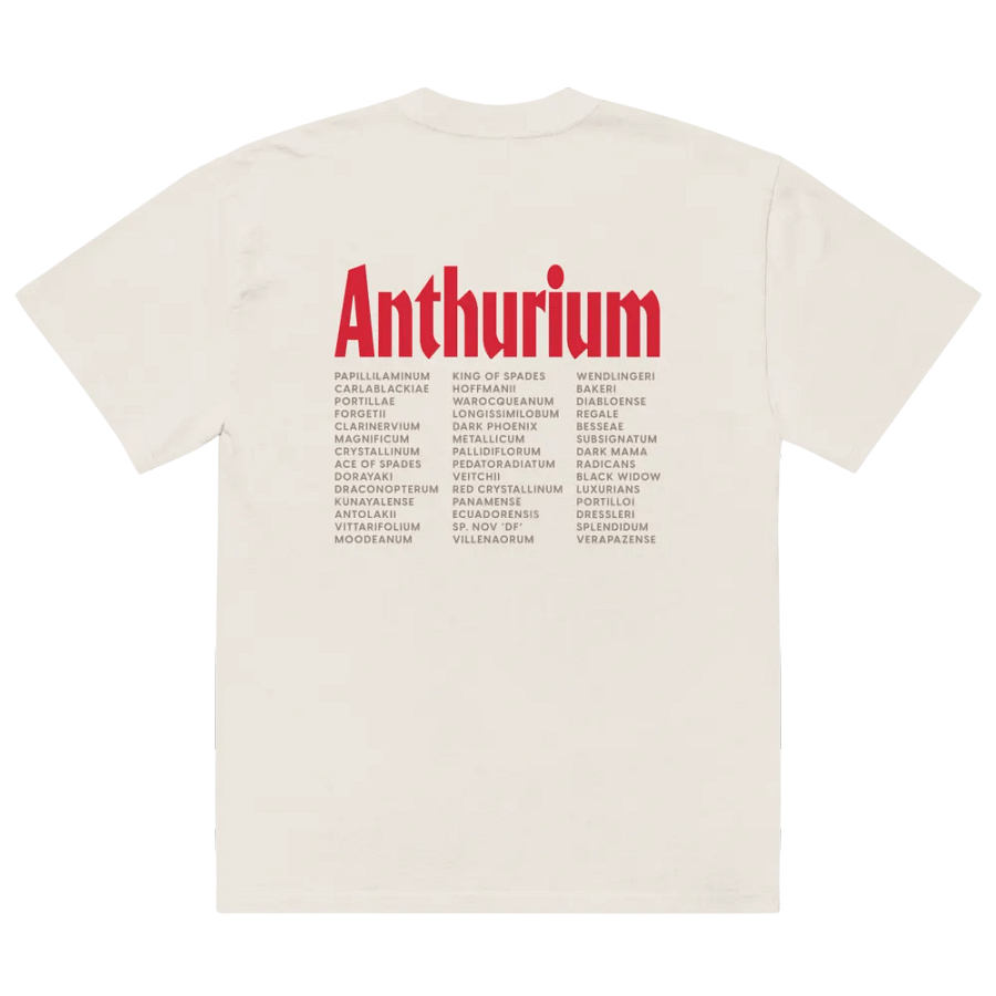 ⚡️ ANTHURIUM WORLD TOUR ⚡️ oversized tee product image (4)