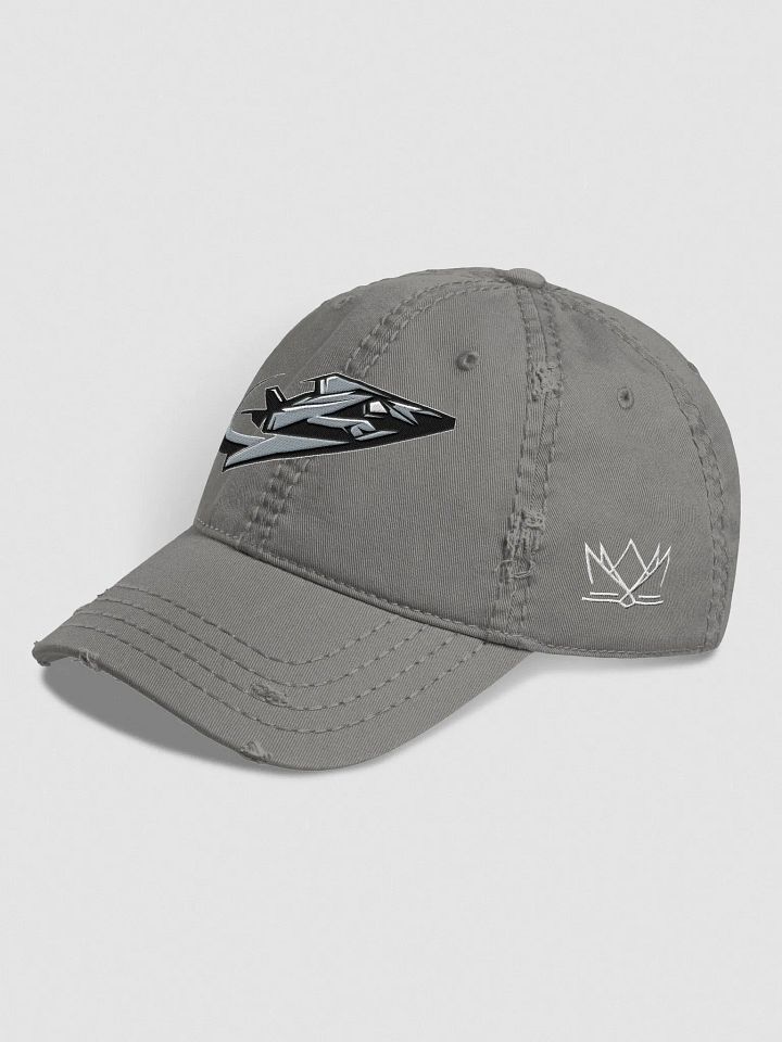 Virginia Beach Nighthawks Distressed Dad Hat product image (2)
