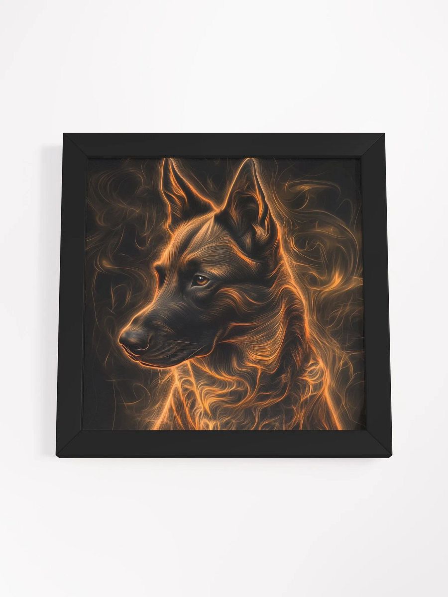Belgický ovčák Malinois, ohnivý product image (48)