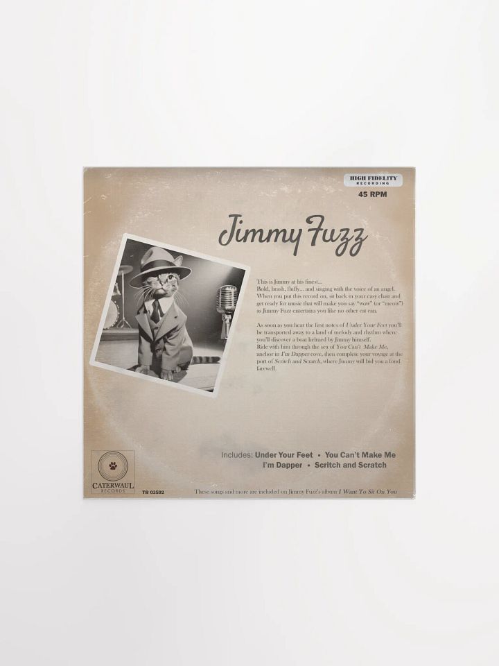 Jimmy Fuzz poster - Under Your Feet album jacket (back) - 12