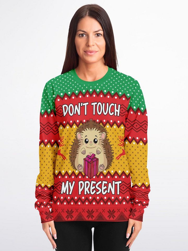 "Don't Touch My Present" Hedgehog Christmas Sweatshirt | Funny Holiday Gift Guard Sweater | Christmas Party Outfit product image (1)
