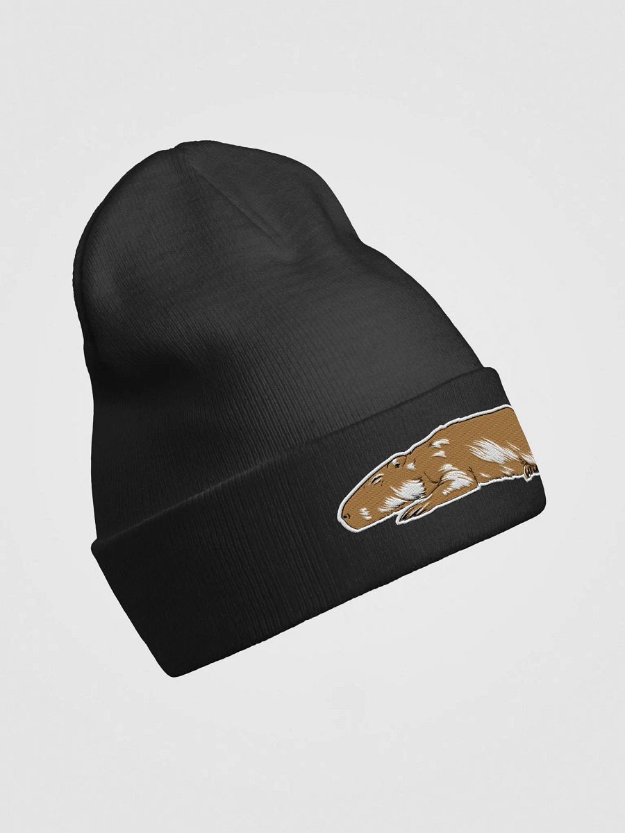 Sleeping Capybara product image (3)