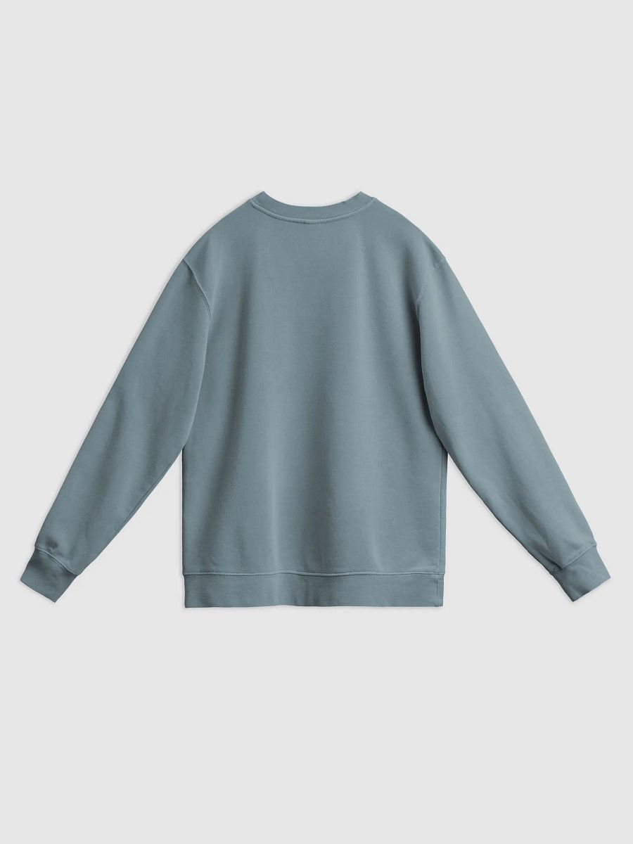 Disney World Family Midweight Pigment Dyed Sweatshirt product image (2)
