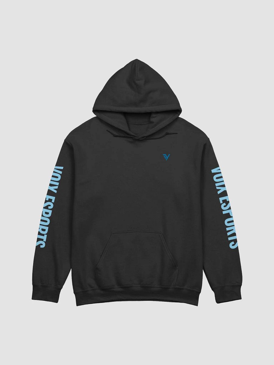 Voix eSports Outlined Hoodie product image (1)