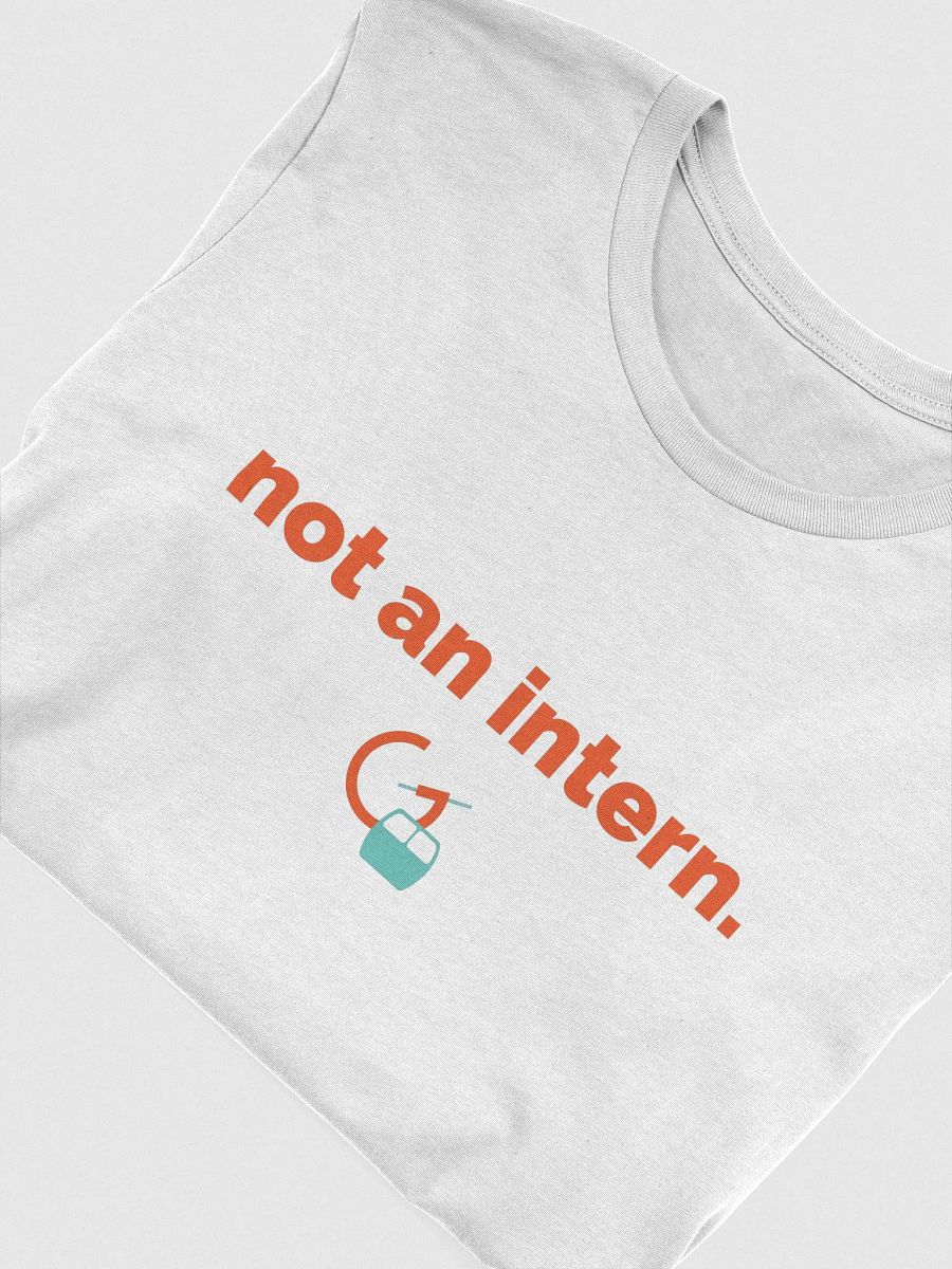 not an intern product image (4)