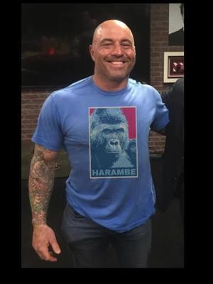 Yo, check out this legendary pic of Joe Rogan rockin' our Harambe tribute tee! 🦍💪 We're all about spreading love and awareness for the beautiful creatures that share our planet. Harambe, the beloved gorilla who was tragically taken from us too soon, holds a special place in our hearts. This shirt is a reminder that every life is precious and that we must always strive to protect and respect our wildlife. Let's keep Harambe's memory alive and continue to fight for a better world for all. #HarambeForever #RIPHarambe #JoeRogan #BeefThroatCo #WildlifeConservation #AnimalRights #ProtectThePlanet #EndangeredSpecies #GorillaLove 