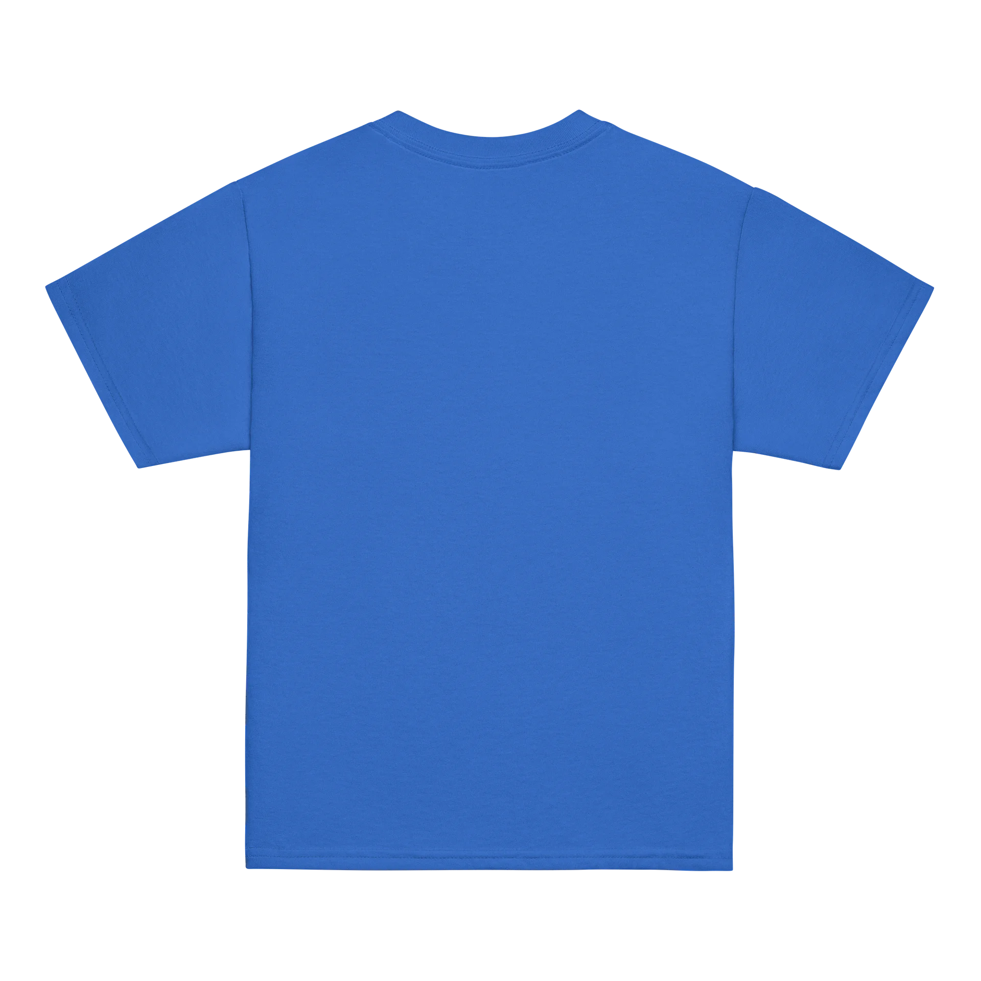 AI NATIVE Bold Youth Tee product image (4)