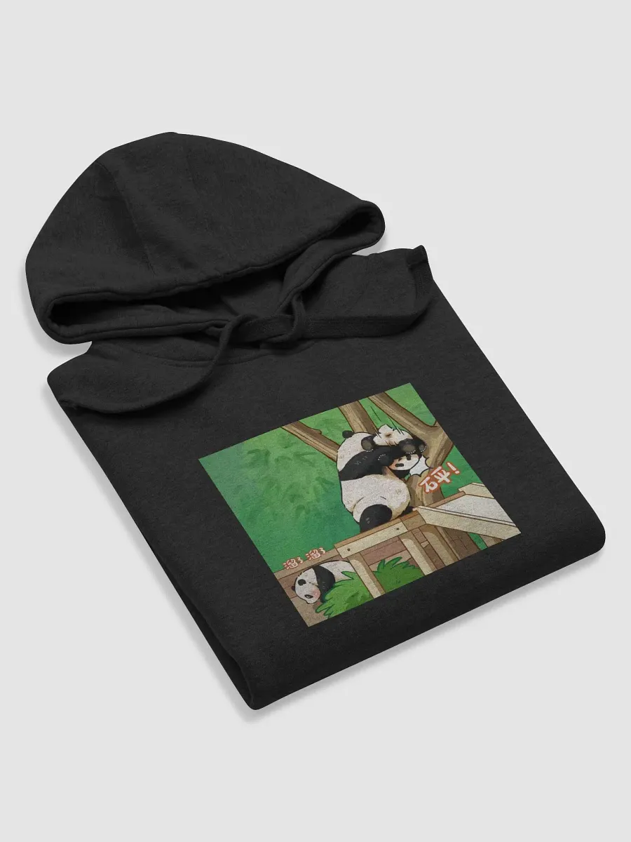 huibao and ruibao Panda product image (5)