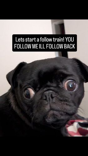 Lets start building each other up all small creater accounts lets help each other grow #creator #teamwork #letsgrow