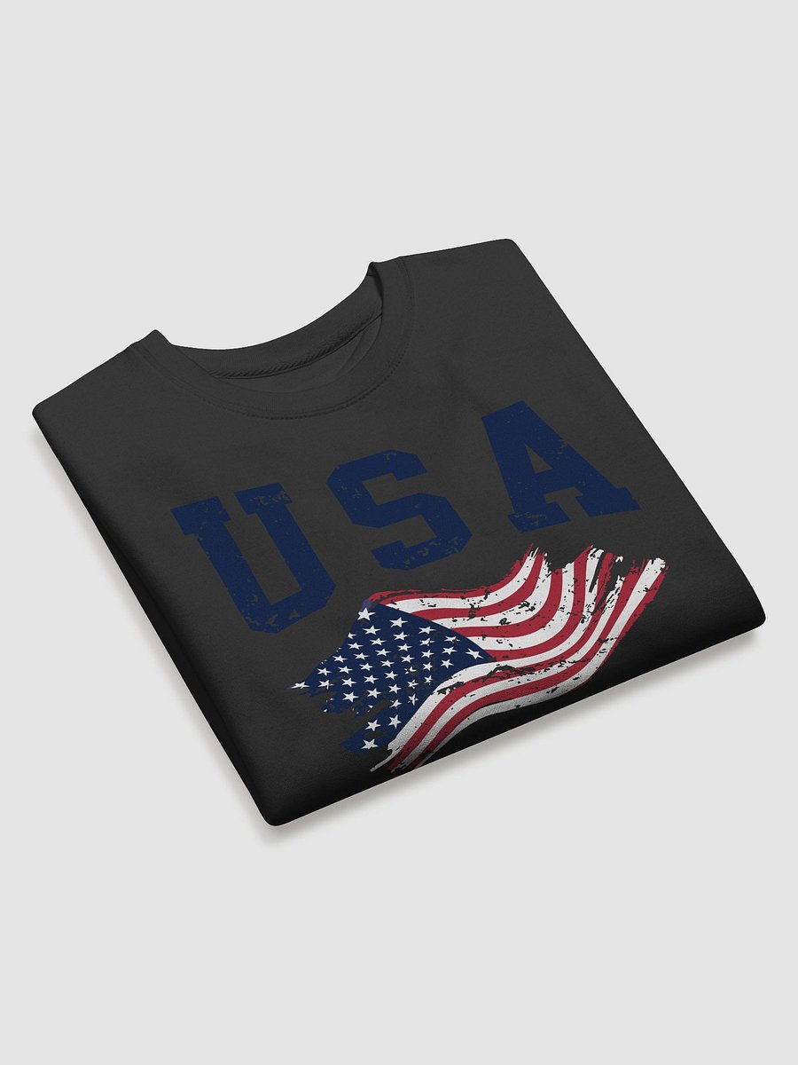 U.S.A 4th July Vintage Art product image (3)