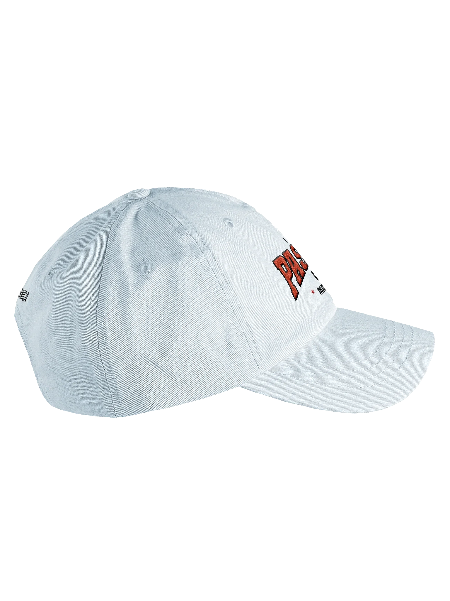 Blame My Passport Dad Hat product image (13)