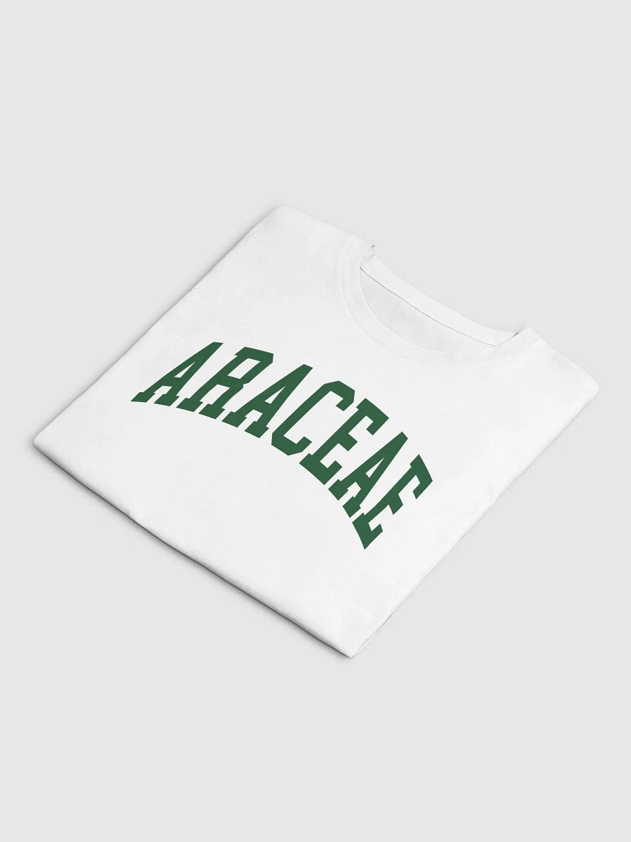 ARACEAE varsity crop top product image (8)