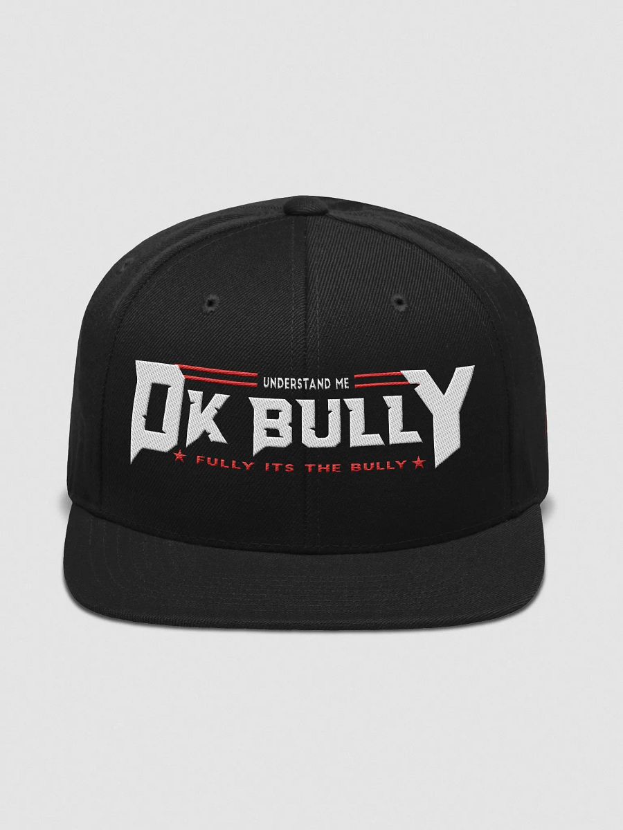 UNDERSTAND FULLY (HAT ) LD product image (1)