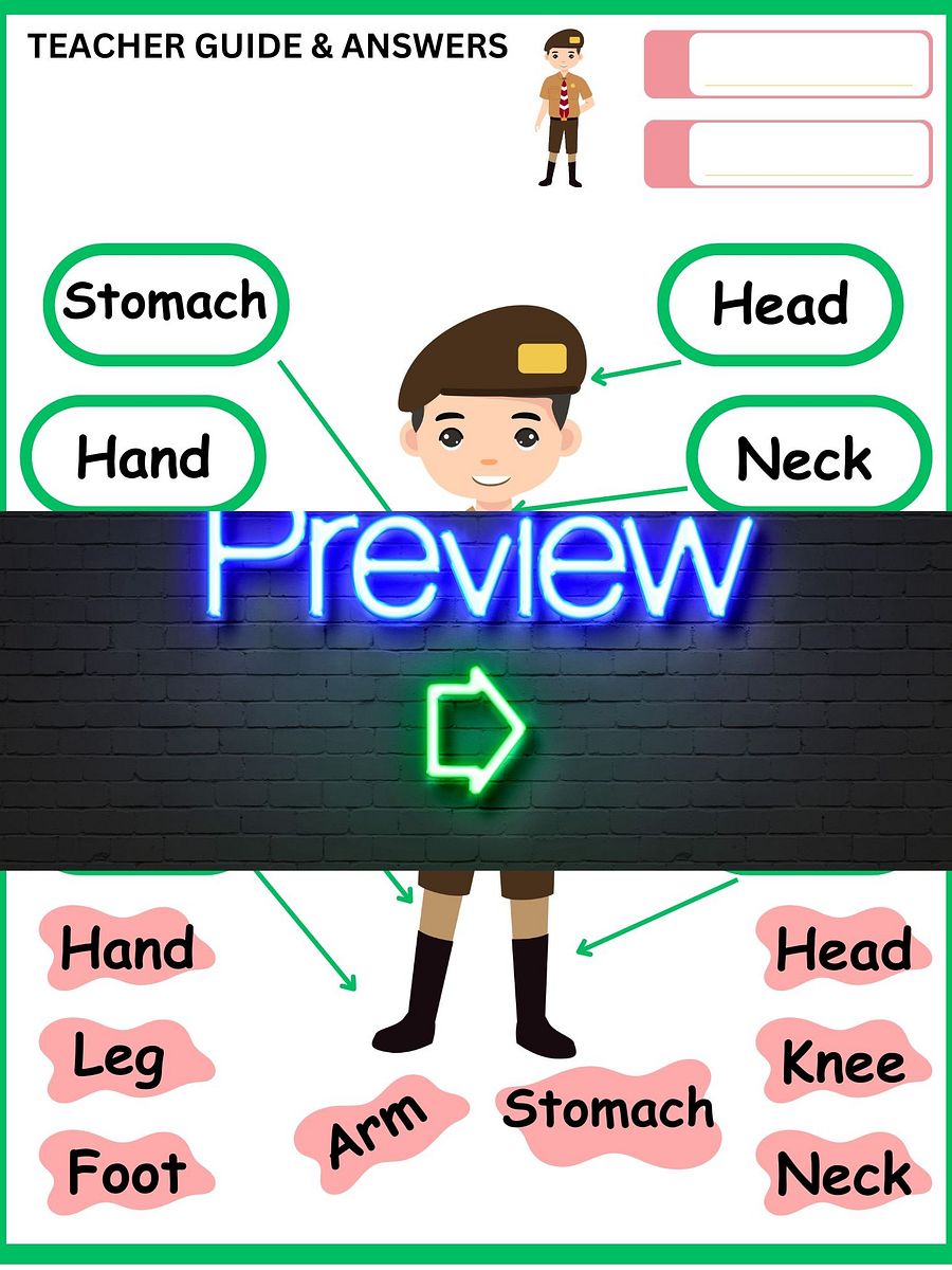 Parts of the Body Worksheet product image (3)