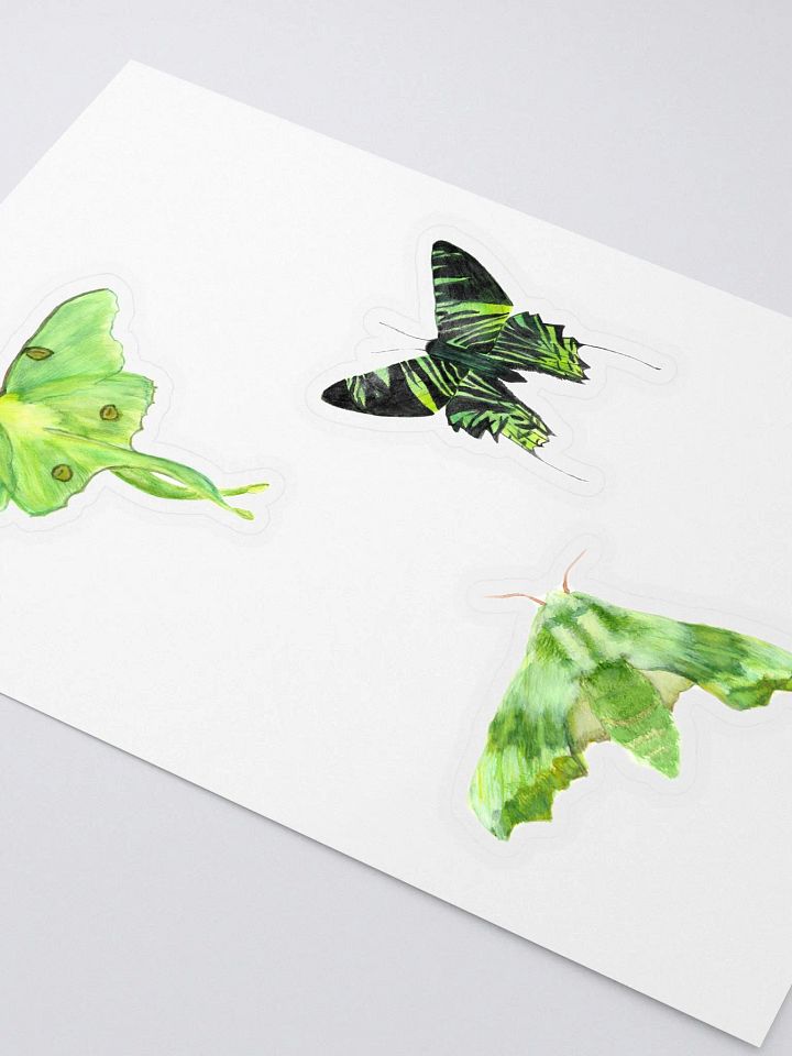 Green Moth Sticker Pack product image (2)