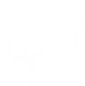 Goosly