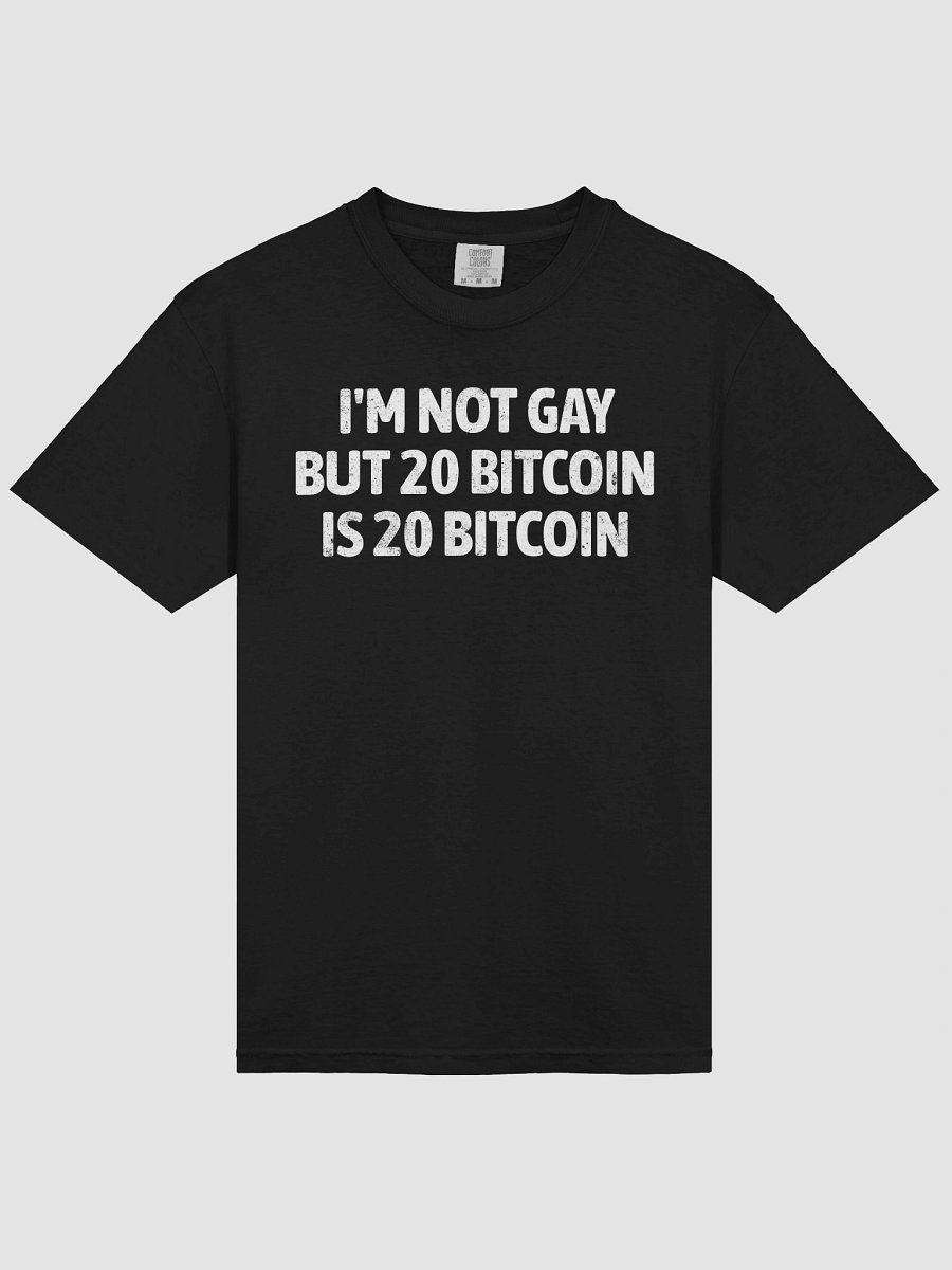 I'm Not Gay But 20 Bitcoin is 20 Bitcoin T-Shirt (Comfort Colors) product image (3)