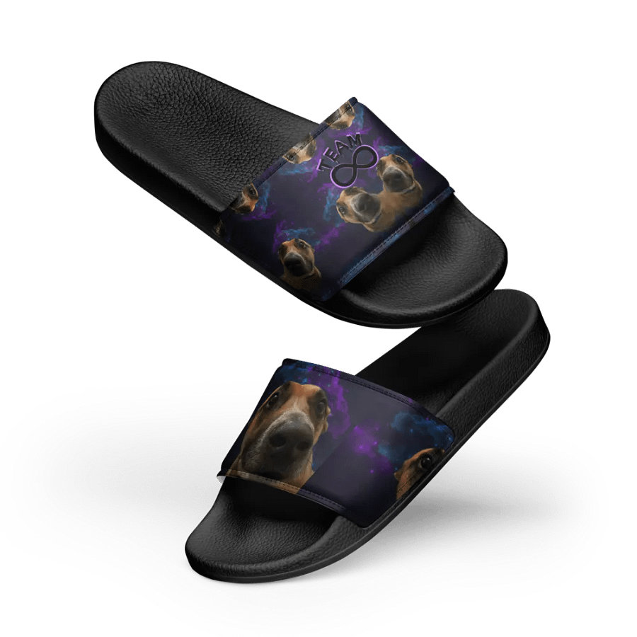 The Ruka Steppers product image (11)