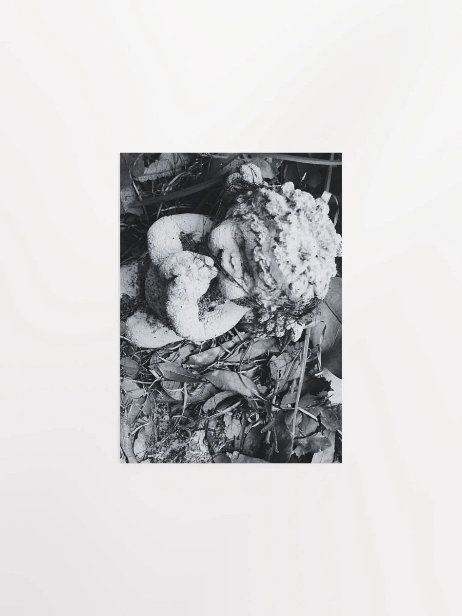 Angel of Decay product image (2)
