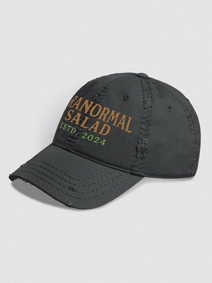 Paranormal Salad Legacy Collection – Official JAX Ember Hat product image (2)