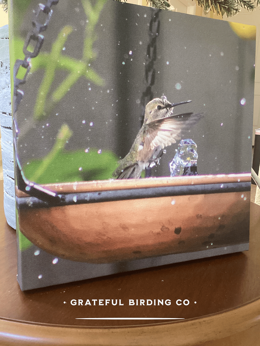 Hummingbird Joy: Splash Bath - Bird Wall Art product image (5)