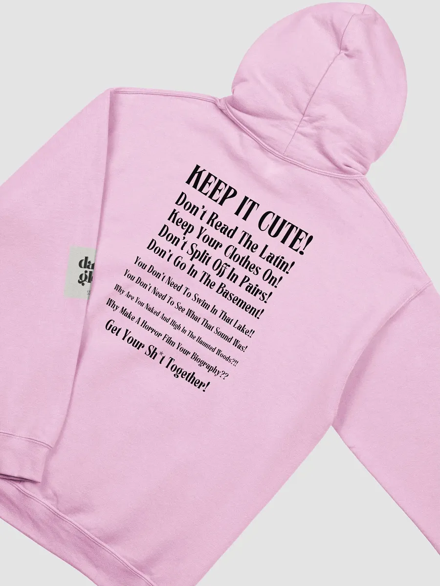 Don't Read The Latin BSFR Hoodie product image (3)