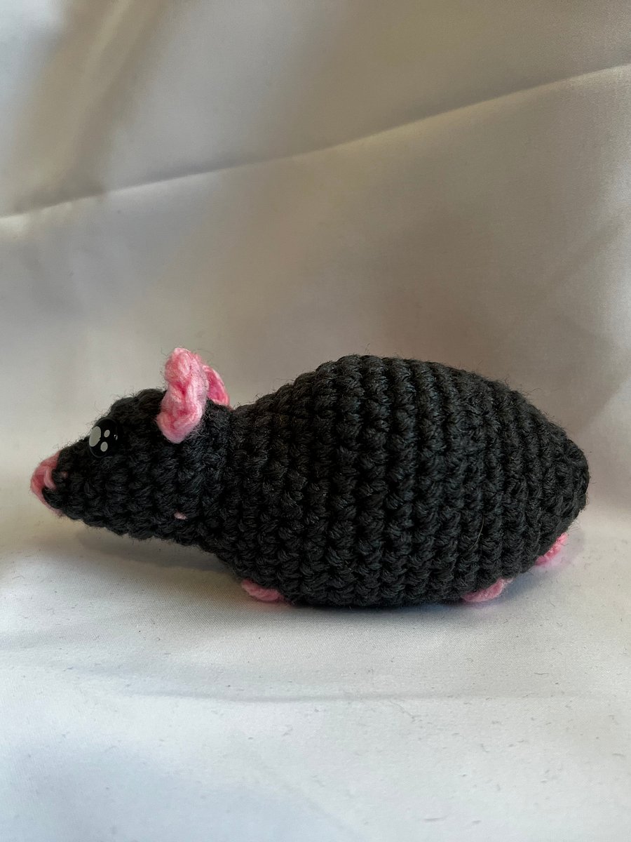 Scrappy the Street Rat product image (9)